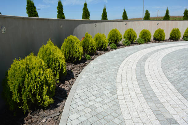 Best Driveway Repair Near Me  in Ingram, TX